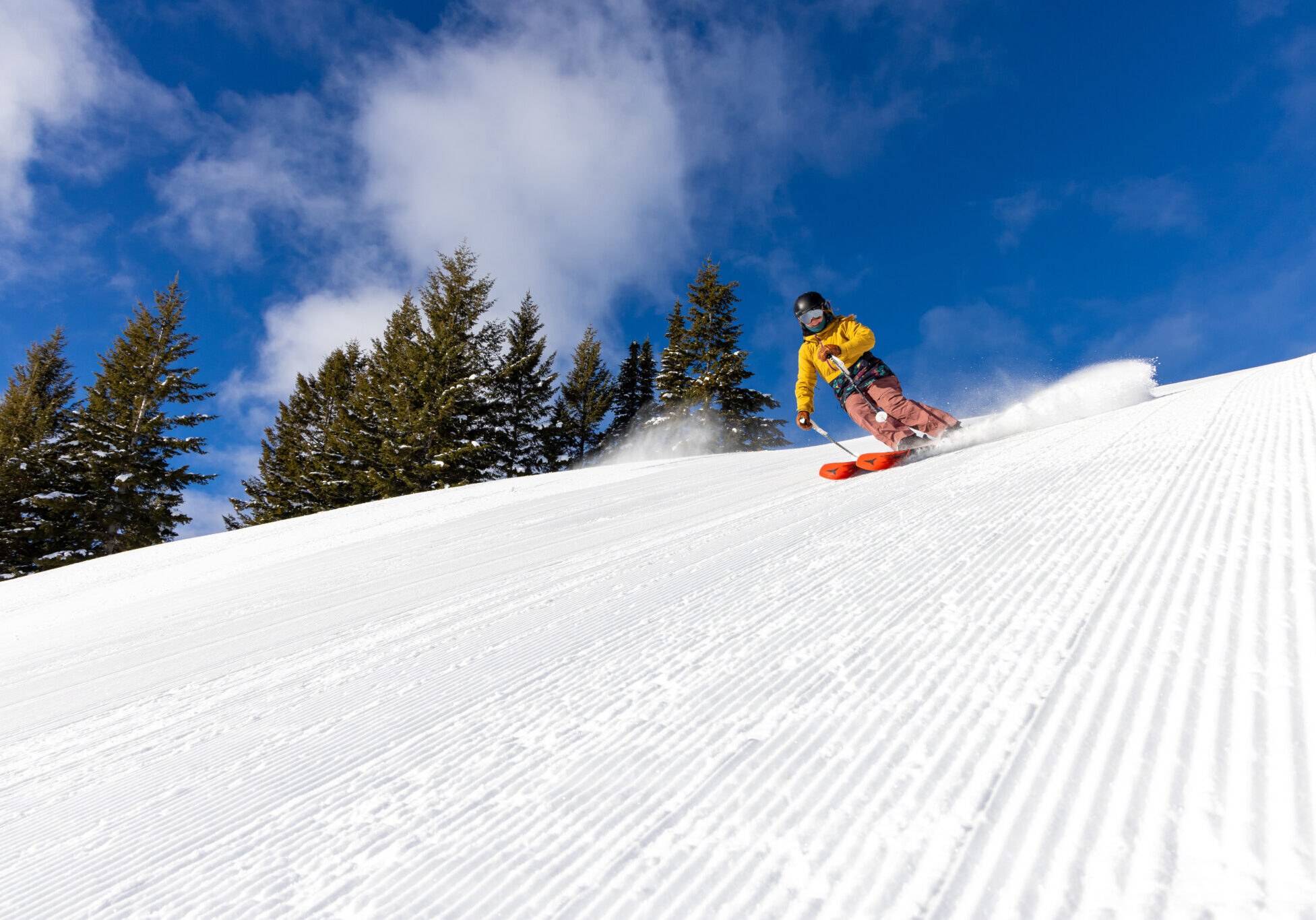 SH.2024.2.13_Groomers-142